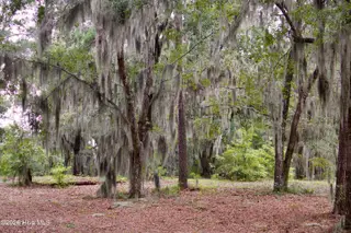 385 Sand Ridge Road, New Bern, NC 28560 – photo 4: IMG_4489
