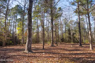 309 Knollwood Drive, Hampstead, NC 28443 – photo 10: DSC00836-HDR