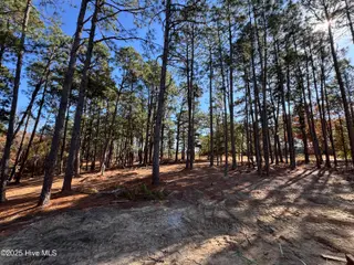 494 Longleaf Drive, West End, NC 27376 – photo 21: IMG_3529