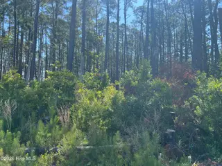 570 5 6 7 Highway 70, Smyrna, NC 28579 – photo 5: IMG_9747
