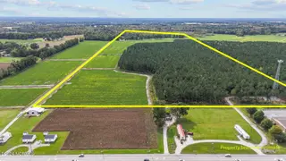 215 Nc 43 Hwy, Vanceboro, NC 28586 – photo 4: 4-web-or-mls-DJI_20241009143936_0334_D_2