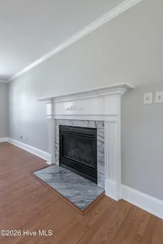2403 Harness Court, Greenville, NC 27858 – photo 14: Gas fireplace