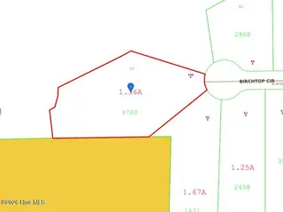 100 Birchtop Circle, Zebulon, NC 27597 – photo 2: Lot 83