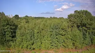 00 Near 1008 N Brown Street, Chadbourn, NC 28431 – photo 2: IMG_5264