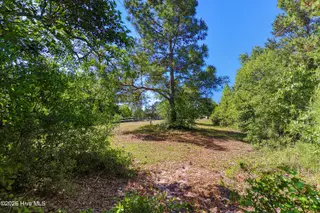 112 Sweet Grass Trail, Cedar Point, NC 28584 – photo 9: Vacant lot in Marsh Harbor