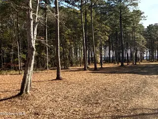 0 Norfleet Shores Road, Belhaven, NC 27810 – photo 14: IMG_0814 2