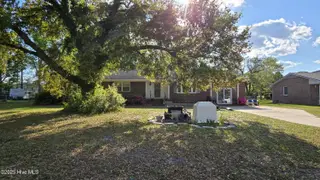 304 Mary Avenue, Castle Hayne, NC 28429 – photo 2: Huge Yard