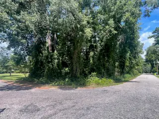 Lot 110 110 & 111 Wildwood Road, Whiteville, NC 28472 – photo 1: Front