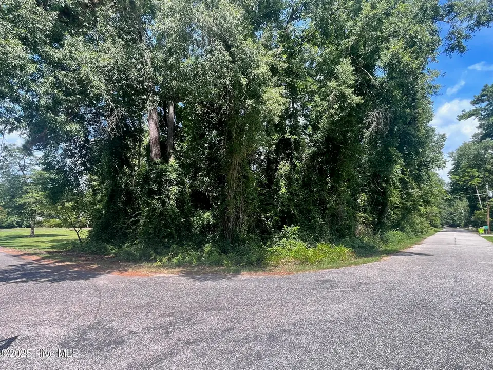 Lot 110 110 & 111 Wildwood Road, Whiteville, NC 28472 – photo 1 of 2: Front
