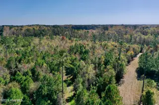 0 Near 4294 James B Wh, Whiteville, NC 28472 – photo 19: Tedder Drone 4