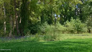 2109 Montalvan Drive, Greenville, NC 27834 – photo 21: 21-custom-DJI_20260901131717_0572_D_DH