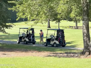 3305 Peppercorn Road, New Bern, NC 28562 – photo 22: Golfer