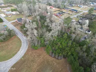 Near 659 Evergreen Street, Whiteville, NC 28472 – photo 9: Munroe Pecan Lane