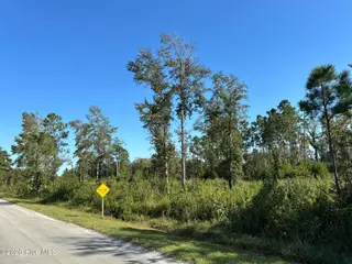 000 Willis Farm Tract-2 Road, Newport, NC 28570 — lot, Newport, NC, photo 5 of 5: IMG_0050