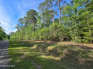 Tbd 35-40 Cabins Creek Road, Vass, NC 28394 – photo 8: 20260508_164153