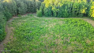 0 Pendergrass Drive, Princeton, NC 27569 – photo 5: 09-Quarterhorse Rd-9