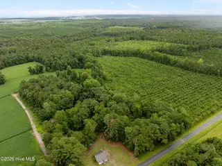 0 Marys Chapel Church Road, Aurora, NC 27806 – photo 4: 6-web-or-mls-DJI_0699