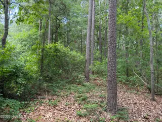 118 66 Ferret Run Lane, New Bern, NC 28562 – photo 8: IMG_7801