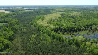 Off Speights Chapel Road, Whitakers, NC 27891 – photo 24: DJI_0593