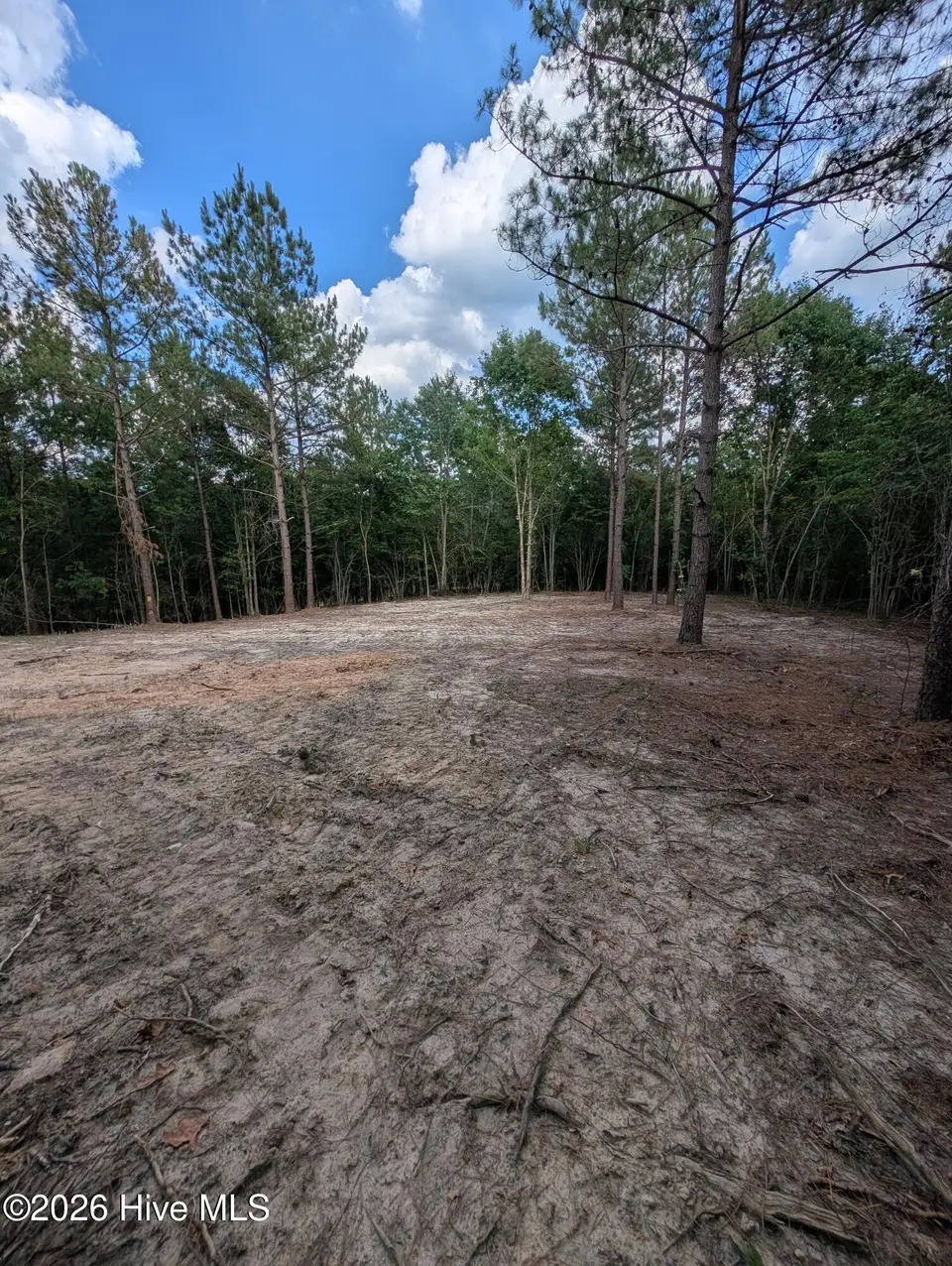 Tbd 2R-3 Peyton Drive, Eagle Springs, NC 27242 – photo 1 of 11: 2R-3 clearing