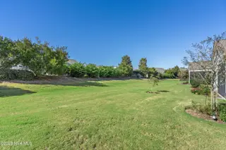 707 Broomsedge Terrace, Wilmington, NC 28412 – photo 23: Yard