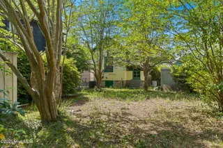 111 Meares Street, Wilmington, NC 28401 – photo 24: Rear
