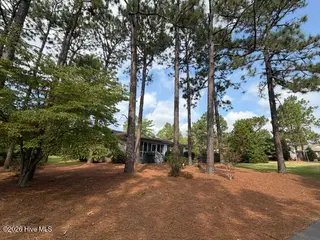 120 Sandham Court, Seven Lakes, NC 27376 – photo 9: Rear lot