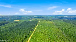 795 Pollard Swamp Road, Vanceboro, NC 28586 – photo 6: 6-print-DJI_0289 - edited
