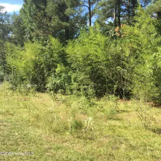 Tbd Plank Road, Robbins, NC 27325 – photo 3: IMG_0478