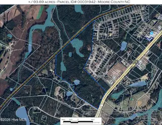 5324 Us 1 Highway, Vass, NC 28394 – photo 24: Photo with Wetlands