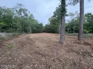 257 Stillwater Drive, Belhaven, NC 27810 – photo 16: lot view
