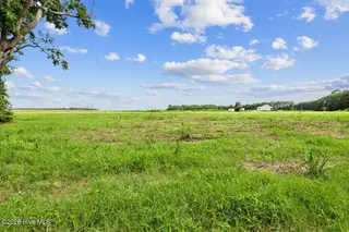 Lot 2 Waller Road, Mount Olive, NC 28365 – photo 8: 294 Waller Rd-5