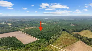 36ac Near 323 Indigo Flats Road W, Tabor City, NC 28463 – photo 5: 1-web-or-mls-Full1