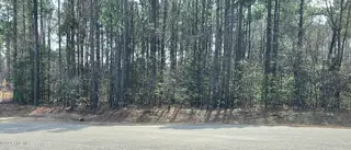 275 10 Raynor Sands Drive, Dunn, NC 28334 – photo 4: 20260306_111830