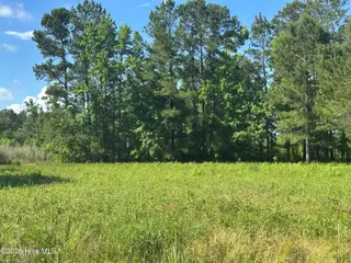 Near 594 Big Cypress Road, Nakina, NC 28455 – photo 7: IMG_3869