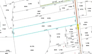 238 Old Nassau Road, Williston, NC 28589 – photo 4: Map