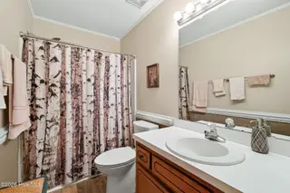 113 Crosswinds Drive, Selma, NC 27576 – photo 12: 12-web-or-mls-DSC05193
