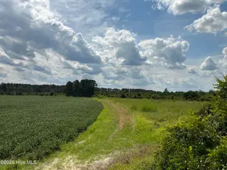 0 Near 685 Rossie Ober Road, Whiteville, NC 28472 – photo 7: IMG_0397