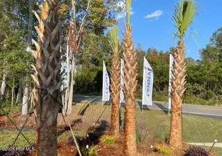 3366 Wood Stork Drive Litchfield Il Lot 41, Ocean Isle Beach, NC 28469 – photo 22: palm trees