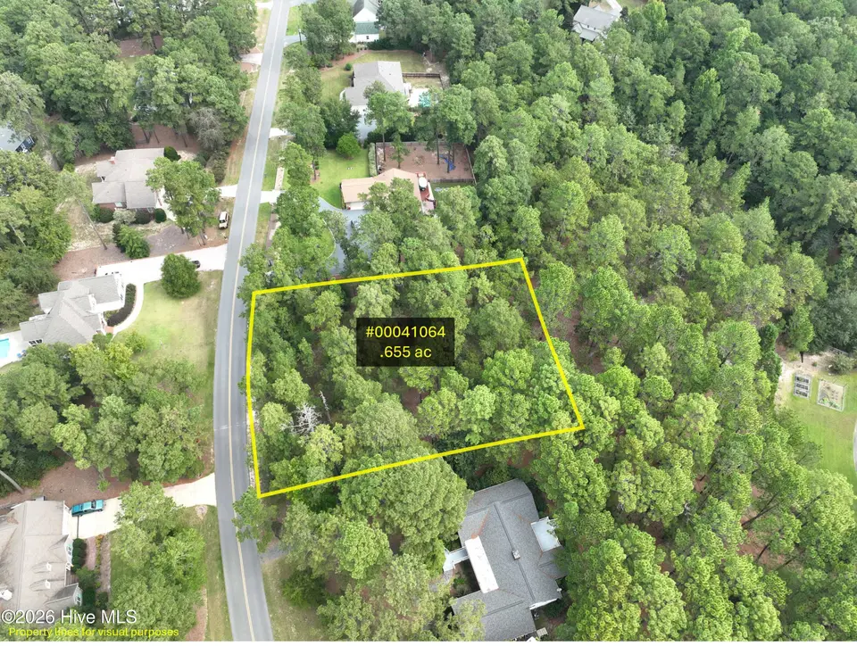 28 222 Sabbatia Drive, Whispering Pines, NC 28327 – photo 1 of 8: Picture1