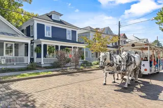 108 Church Street, Wilmington, NC 28401 – photo 2: Horse Drawn Carriage