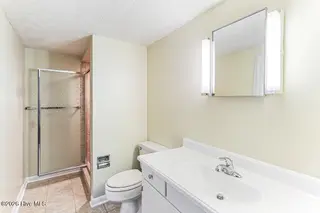 325 Lupin Place, Southern Pines, NC 28387 – photo 19: 3rd Bathroom