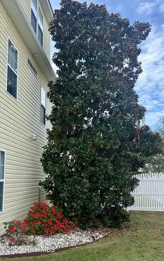105 Everette Court, Newport, NC 28570 – photo 10: IMG_6851