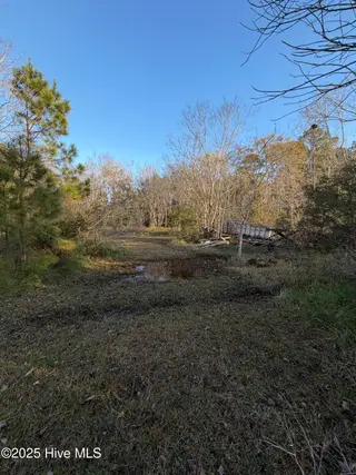 0 Sr 1730 Old Pamlico Beach Road West, Belhaven, NC 27810 – photo 7: IMG_9085