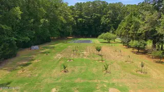 5349 A Pridgen Road, Elm City, NC 27822 – photo 15: Another garden