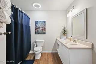528 Brewster Lane, Wilmington, NC 28412 – photo 9: Primary Bathroom