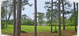 55 Country Club Drive, Shallotte, NC 28470 – photo 23: Backyard