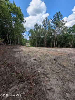 Tbd 2R-3 Peyton Drive, Eagle Springs, NC 27242 – photo 5: PXL_20260707_210714701