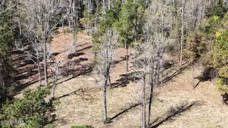 107 135 Pin Oak Court, Beaufort, NC 28516 – photo 2: DJI_20240315120534_0029_D Large