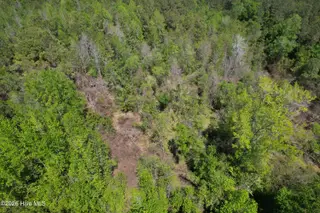 4758 Princess Ann Road, Chadbourn, NC 28431 – photo 20: Image 18